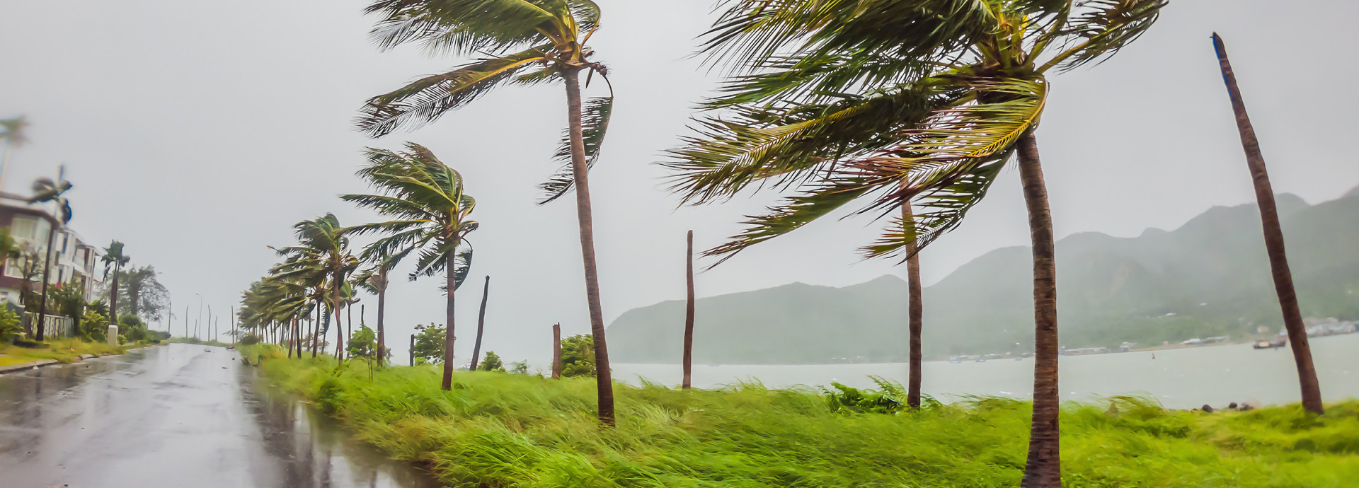 In the picture you can see an island. A tropical storm, heavy rain and high winds in tropical climates, palm trees. 